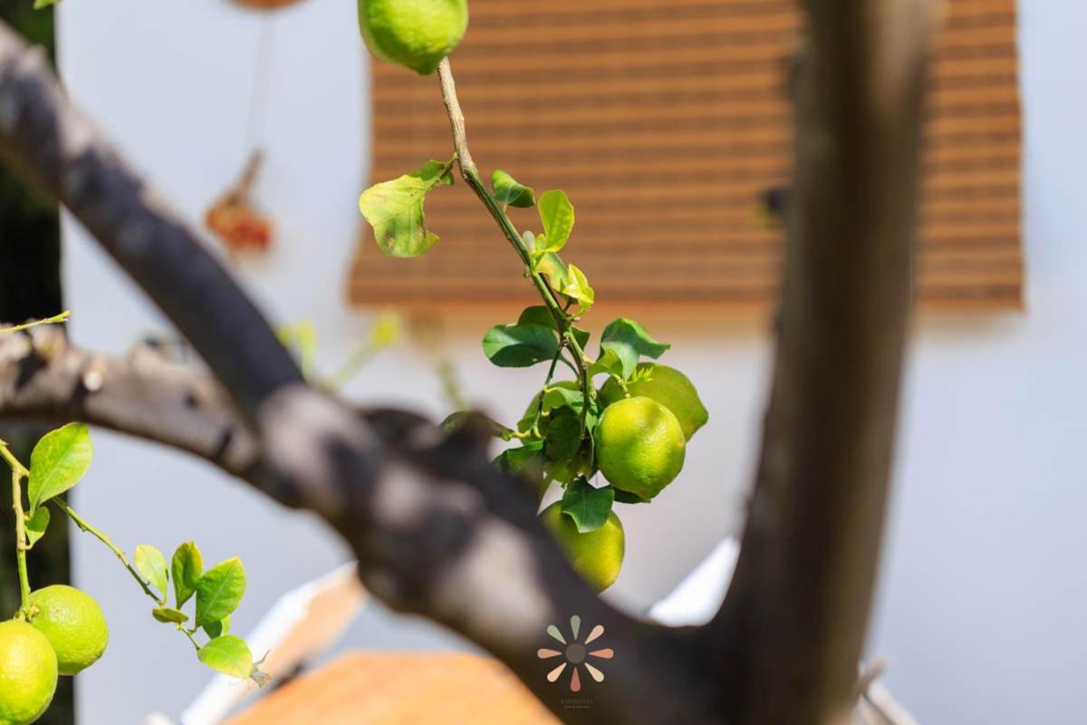 Agriturismo Tenuta Margherita ตอร์เลลาปิลโล ภายนอก รูปภาพ